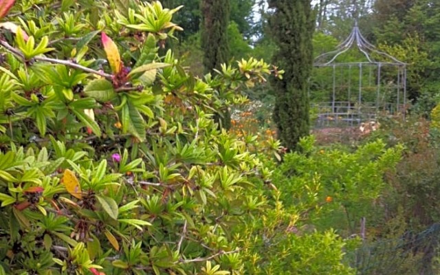 Chambre d'Hôtes Dyrslot