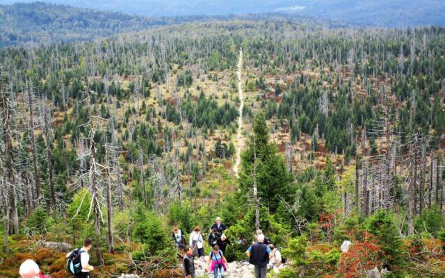 "kleines jagdhaus"- Hüttenurlaub in Bayern