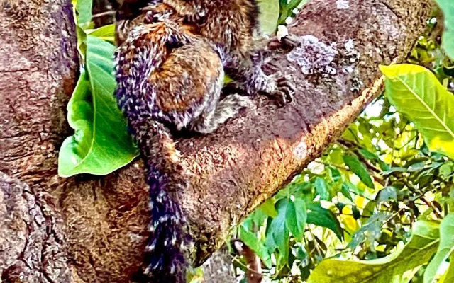 Sanctuary Pirenopolis Suites e Flats