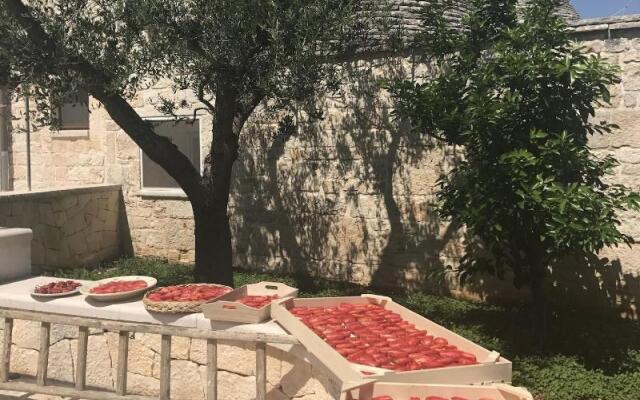 Trullo Monte Olimpo 5