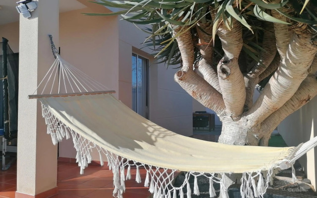 O DRAGOEIRO da Madalena!