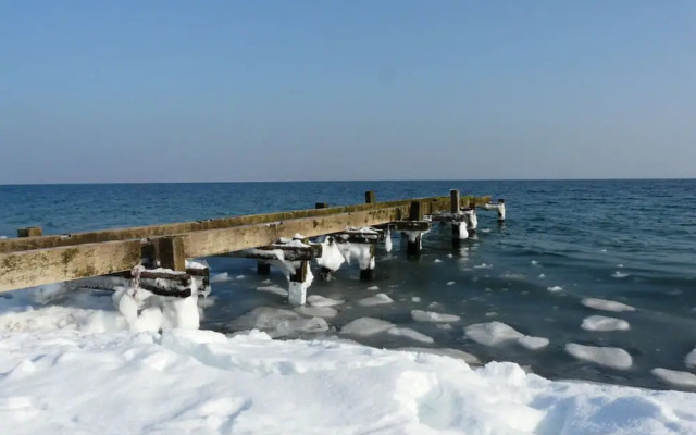 Swallow's Nest in the House by the Pond