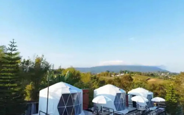 Yellowstone Cheewa View