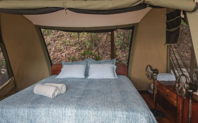 Los Vivos Beachfront Experience