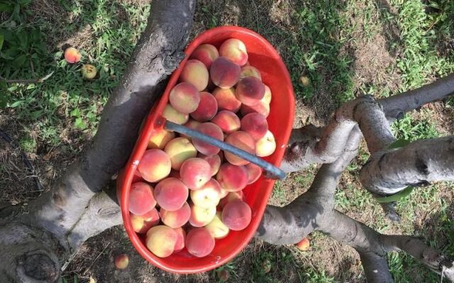 Agriturismo LaValleggia