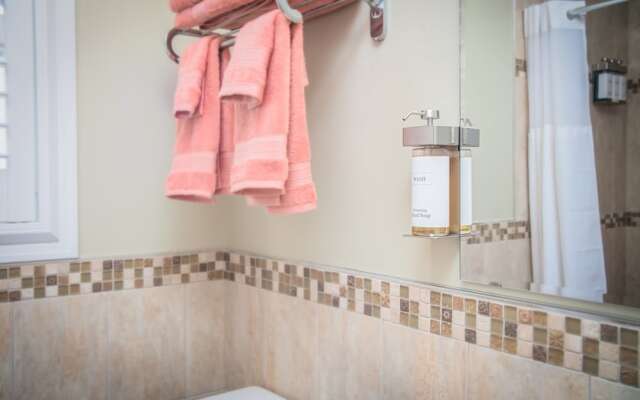 The Local - St. Augustine