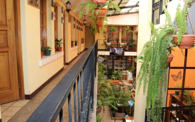 Hotel Kasa Kamelot