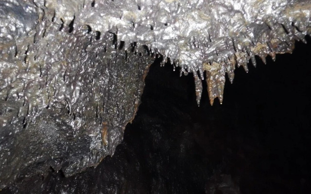 Aloha Crater Lodge and Lava Tube