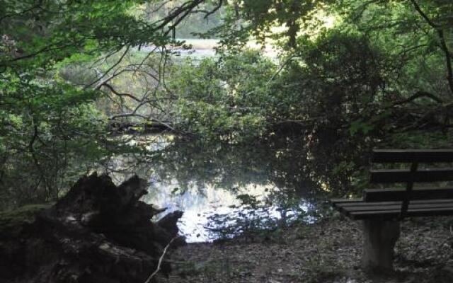 Ferienwohnung Blick in den Wasgau
