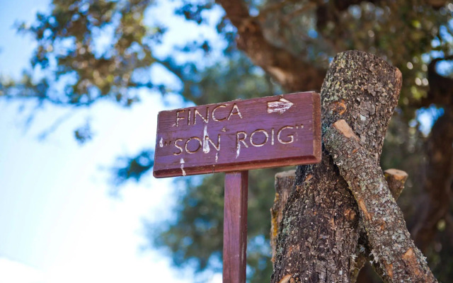 Finca Son Roig