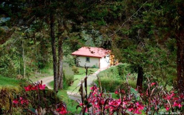 Bosque del Tolomuco