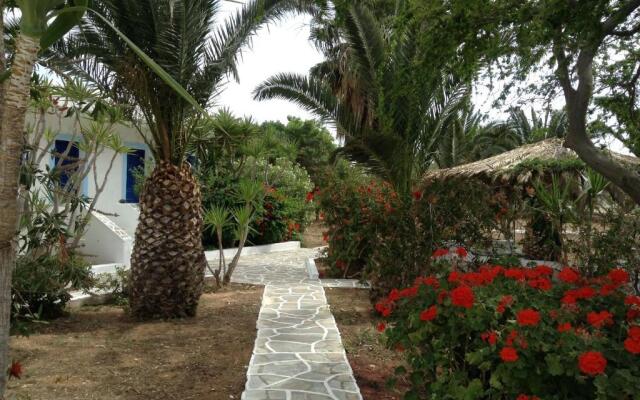 Oasis
