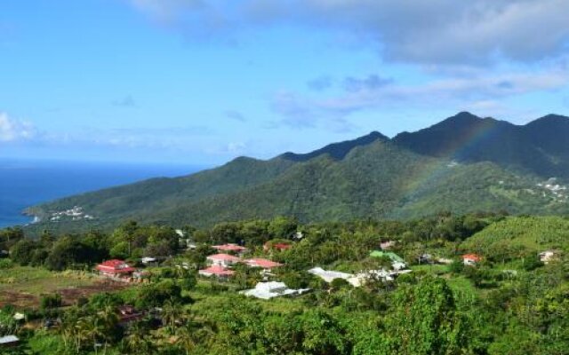 L'îlot Fruits Guadeloupe