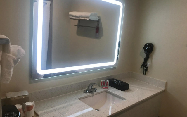 Econo Lodge Inn & Suites Houston Willowbrook