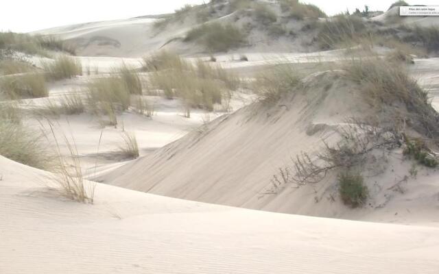 Hotel Doñana Blues