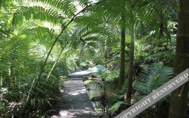 Lync Haven Rain Forest Retreat