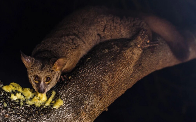 Singwe Private Safari lodge