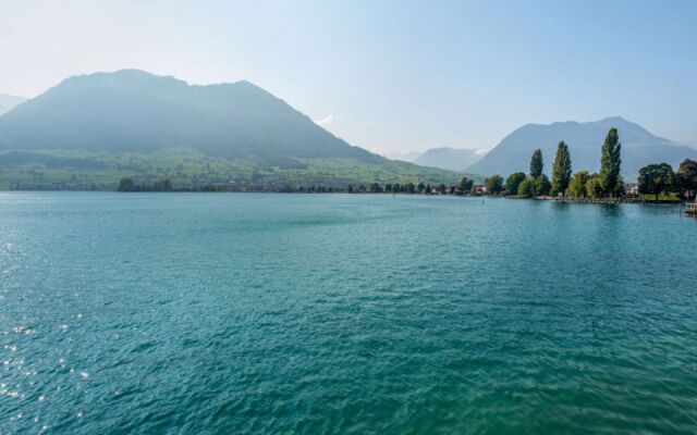 Seestern am See mit Bootsvermietung