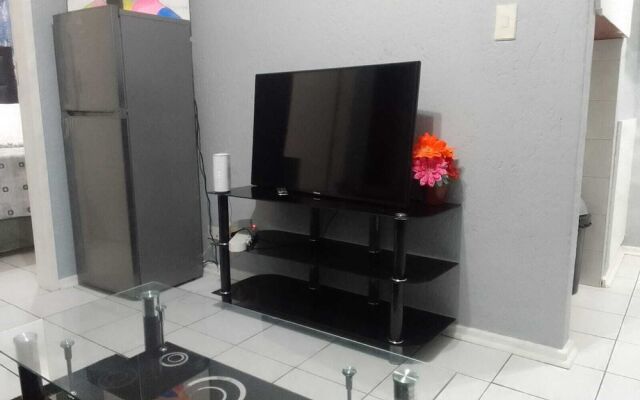 Central Sandton Apartment