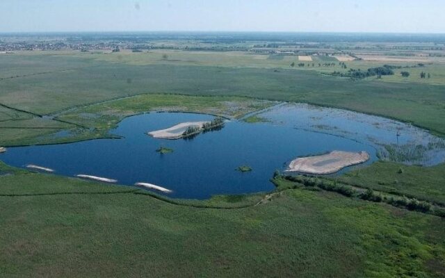 El Bronco Working Ranch