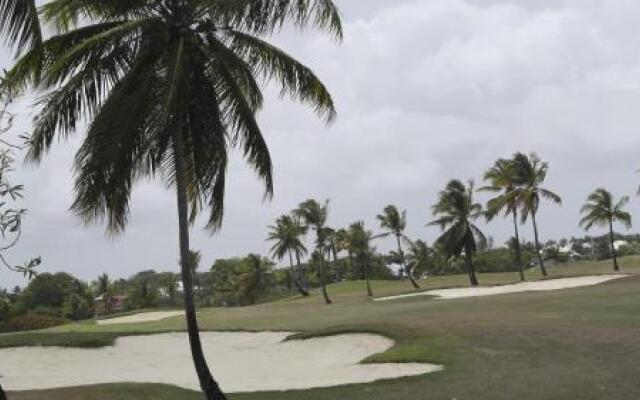 Etal Paradise... Un Paradis Tropical En Guadeloupe