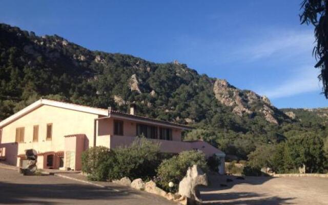 Agriturismo Monte Pino