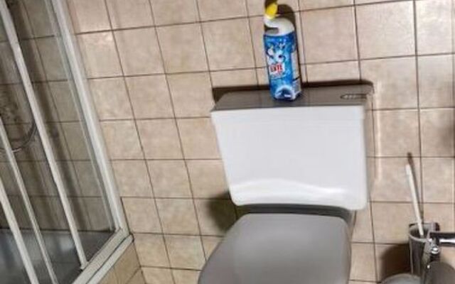 Studio Elsighorn Frutigen