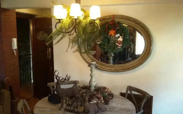 Boutique House