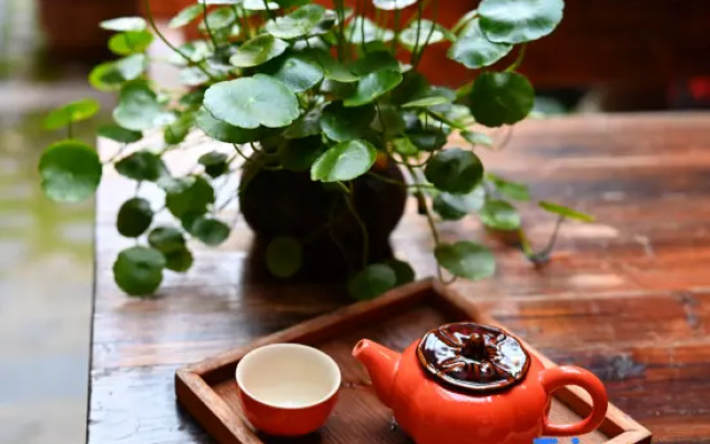 She De Yuan Boutique Homestay