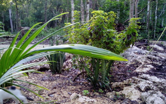 Quintana Roo National Park Campground & Hiking