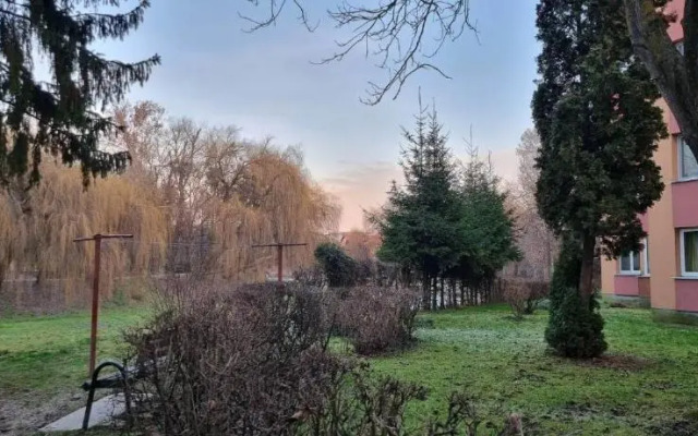 Flower Apartment - Edge