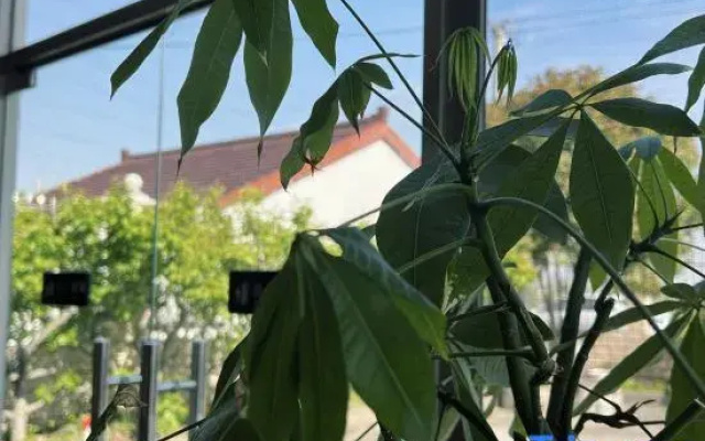 Shanghai Wuqi Xiaozhu Homestay