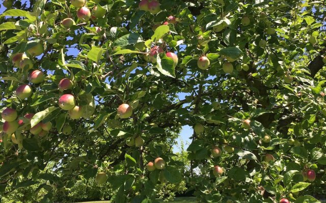 Bildungszentrum Burgbühl