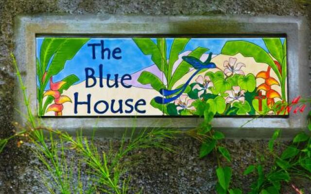 The Blue House