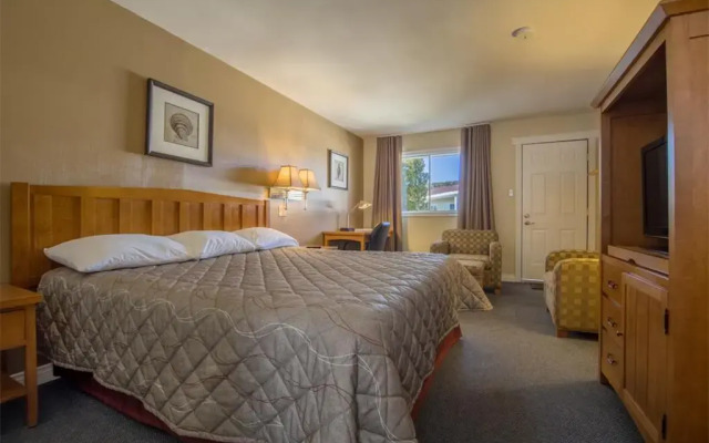 Alpine Motor Inn