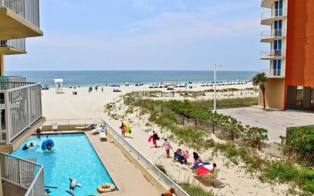 Whaler by Youngs Suncoast