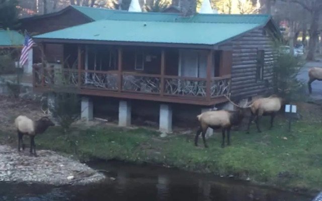 Qualla Cabins and Motel Cherokee near Casino