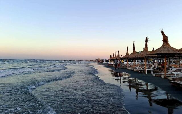 Butterfly Studio Onix