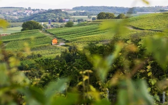 Hotel Zur Tanne