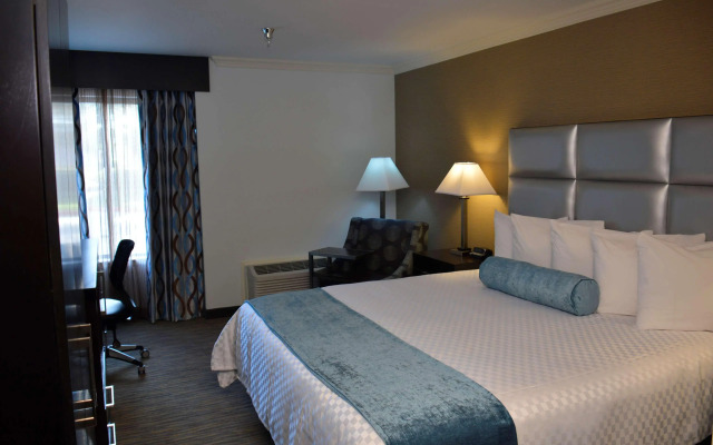 Best Western Webster Hotel, Nasa