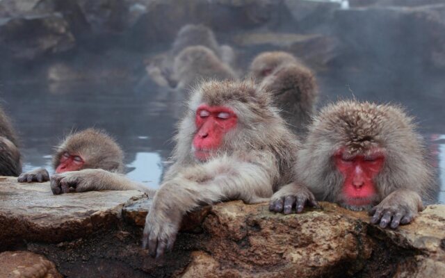 Yudanaka Onsen Yamazakiya Ryokan