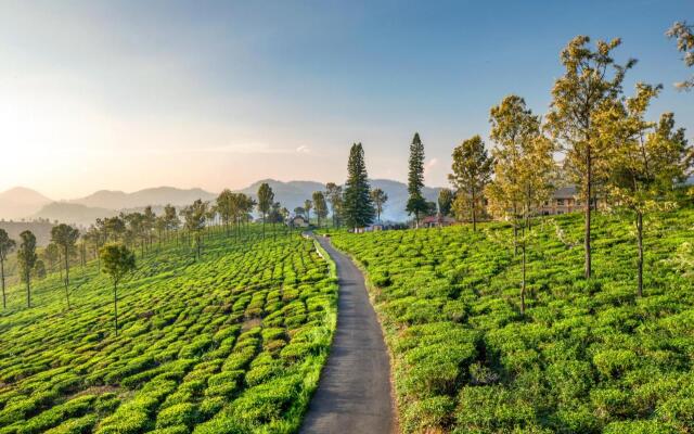 Saffronstays Coonoor Aurora Estate