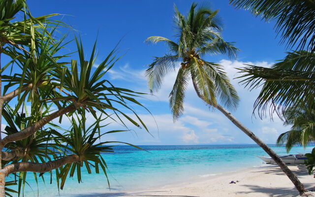 Malapascua Exotic Island Dive and Beach Resort