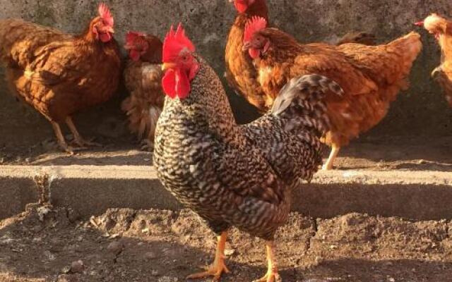 Liencres Apartamentos