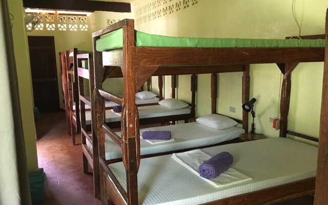 Elternative Hostel