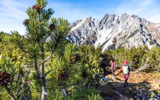 Wald 12 Ferien- und Seminarhaus