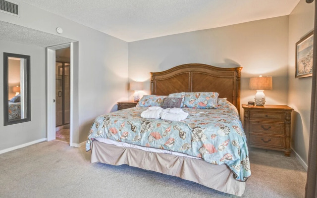 Water Oak 24 By Vtrips