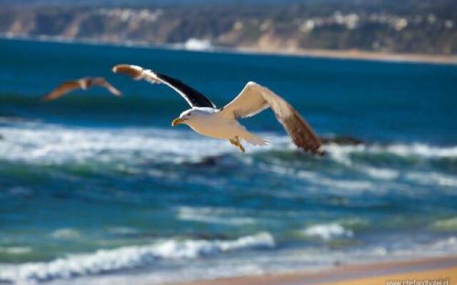 El Caleuche Apart Hotel