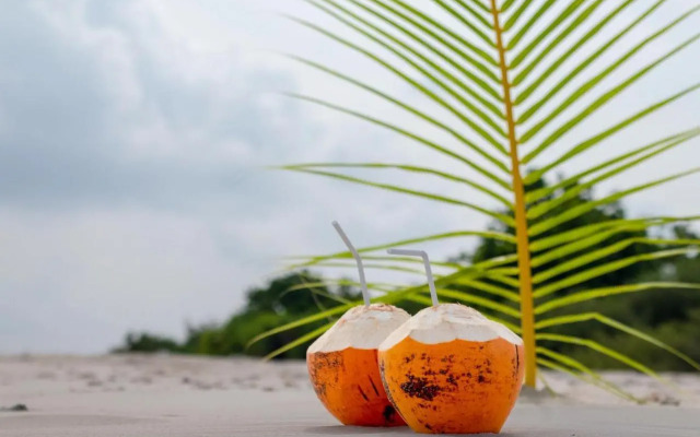 Velaa Garden View, Fodhdhoo- Maldives