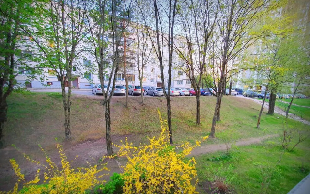 Vilkas Apartment